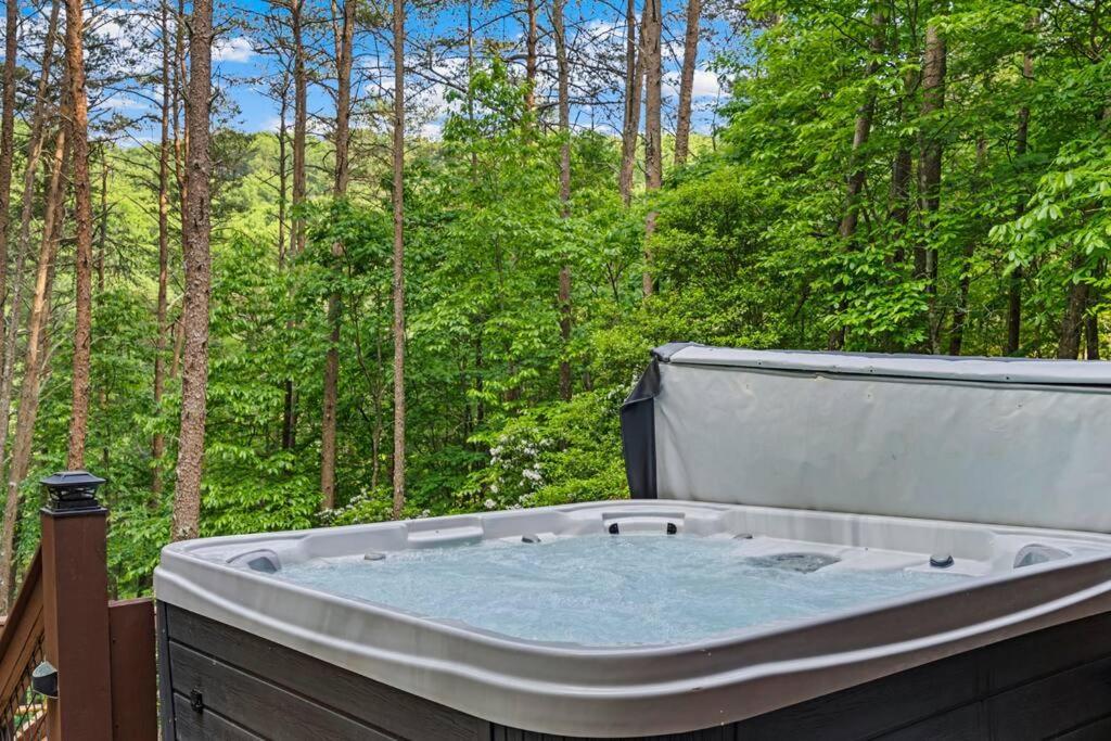 Lakeside Retreat Hot Tub Fishing Hiking Ellijay Luaran gambar